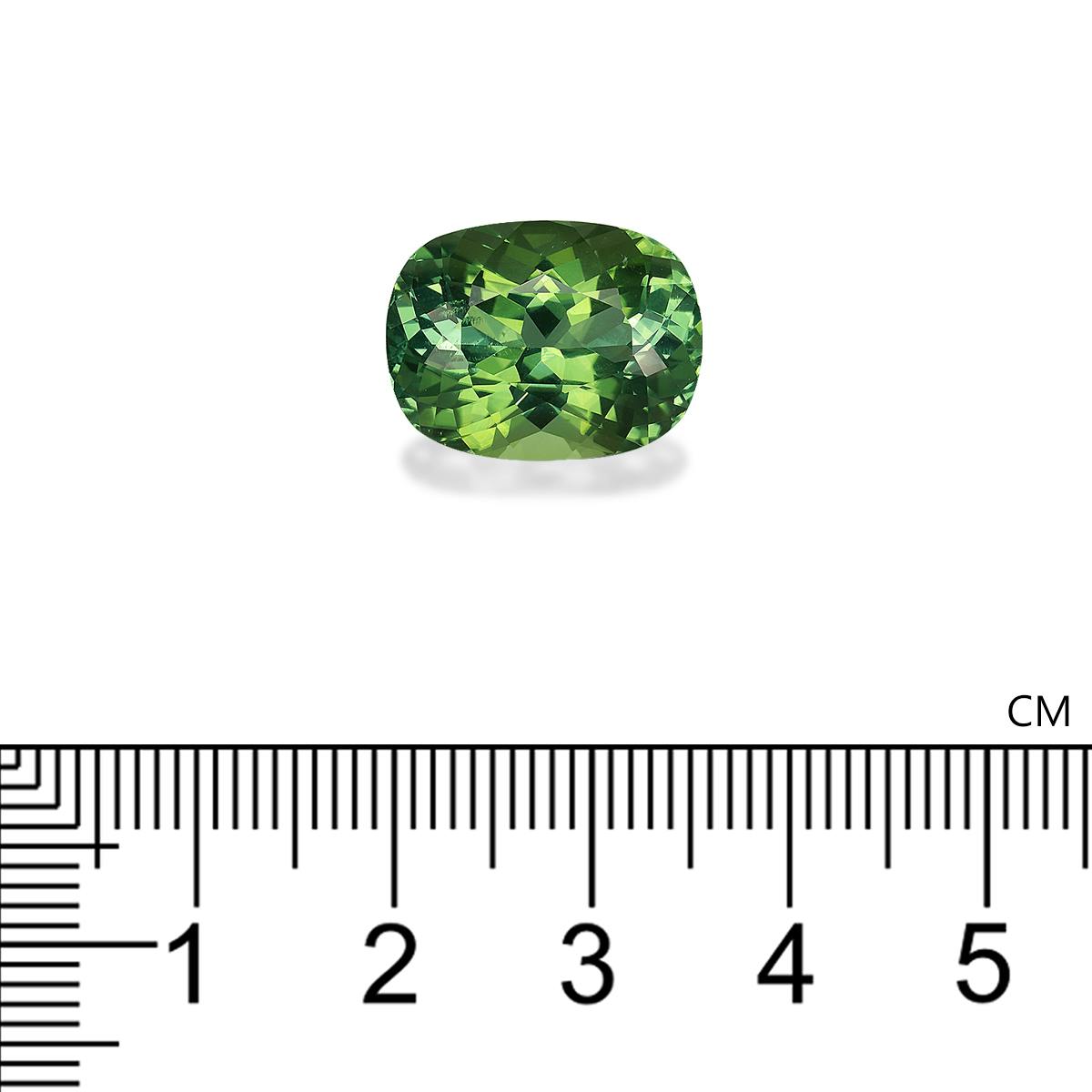 Green Tourmaline 12.20 ct